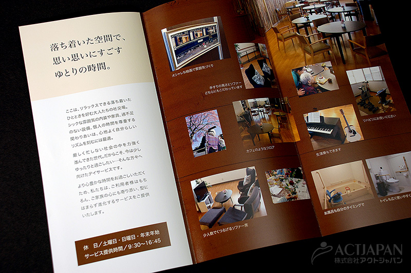 ディピドールのリーフレット